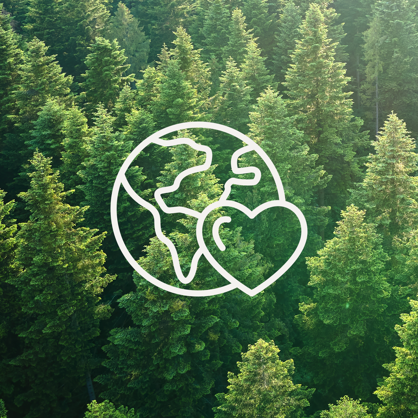 Illustration of earth and heart overlaying lush green forest representing Tommy Owens sustainability values