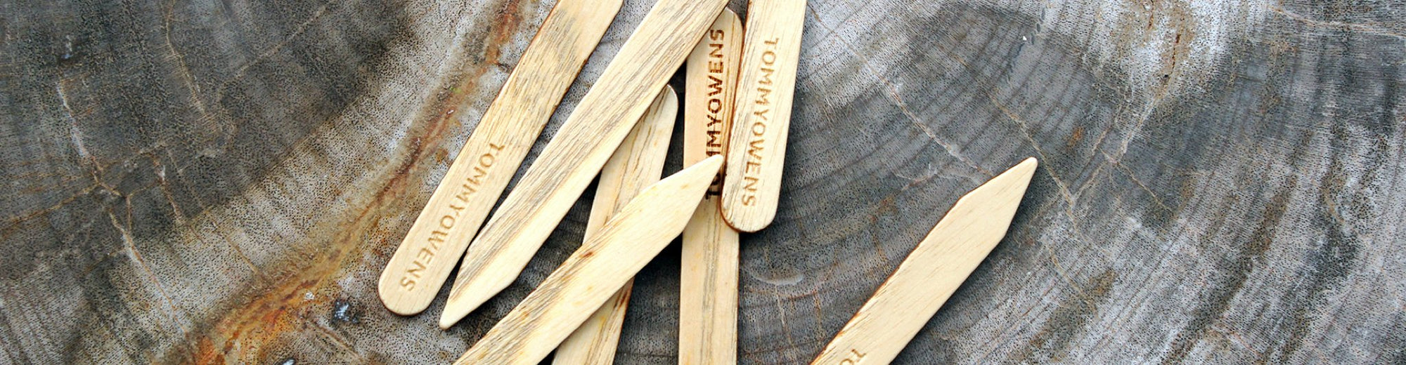 Wood Collar Stays Collection