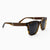 Flagler Streaming Light Acetate and wood sunglasses with rosewood temples