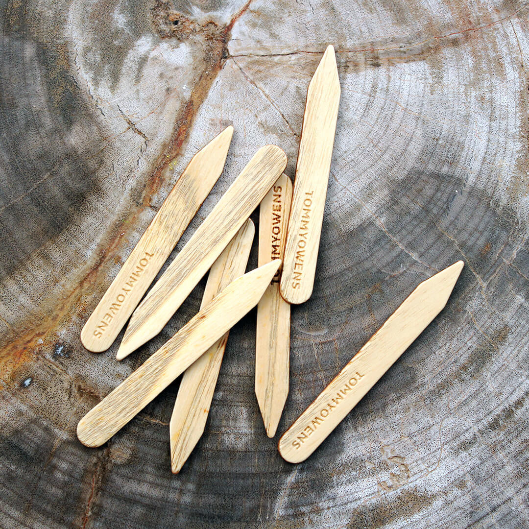 Ash wood Collar Stays on petrified wood background